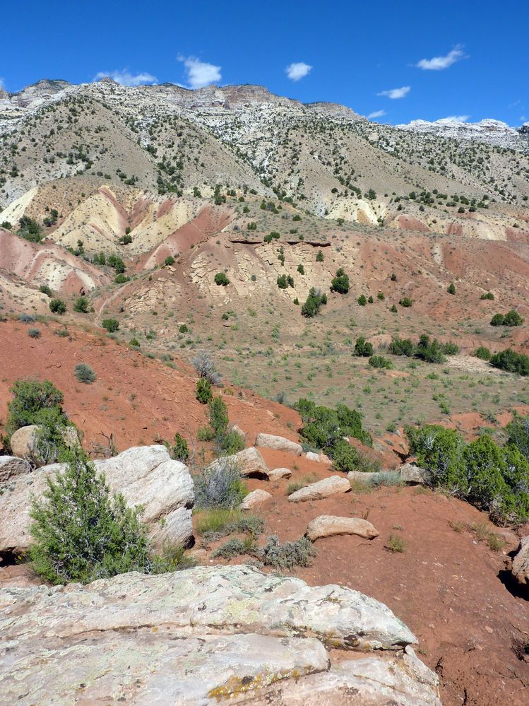 Dinosaur national park (33).JPG